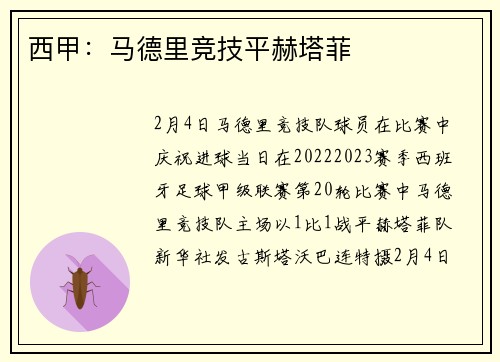 西甲：马德里竞技平赫塔菲